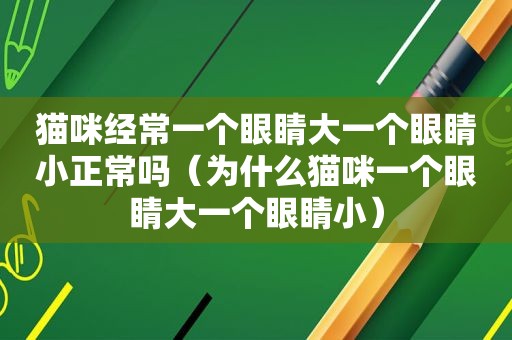 猫咪经常一个眼睛大一个眼睛小正常吗（为什么猫咪一个眼睛大一个眼睛小）