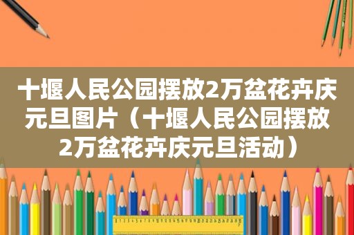十堰人民公园摆放2万盆花卉庆元旦图片（十堰人民公园摆放2万盆花卉庆元旦活动）