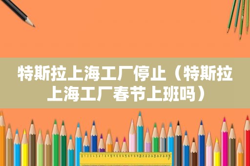 特斯拉上海工厂停止（特斯拉上海工厂春节上班吗）