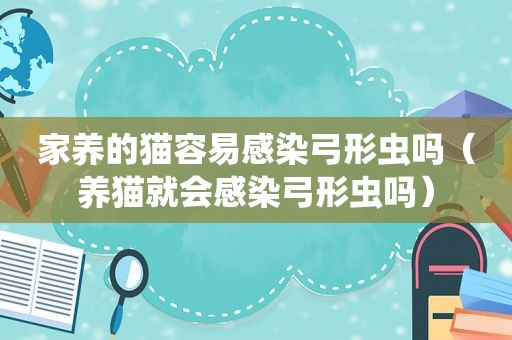 家养的猫容易感染弓形虫吗（养猫就会感染弓形虫吗）