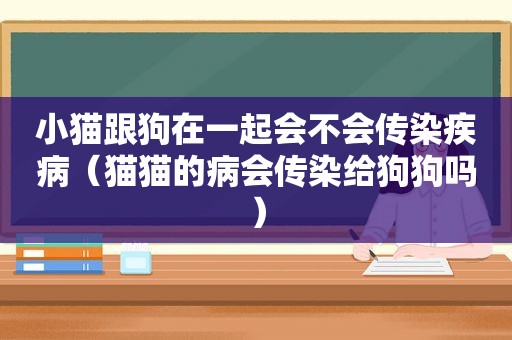 小猫跟狗在一起会不会传染疾病（猫猫的病会传染给狗狗吗）