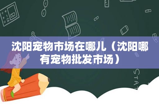 沈阳宠物市场在哪儿（沈阳哪有宠物批发市场）