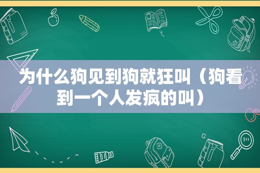 为什么狗见到狗就狂叫（狗看到一个人发疯的叫）