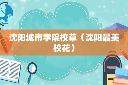 沈阳城市学院校草（沈阳最美校花）