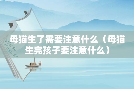 母猫生了需要注意什么（母猫生完孩子要注意什么）