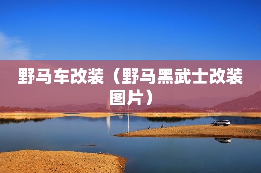 野马车改装（野马黑武士改装图片）