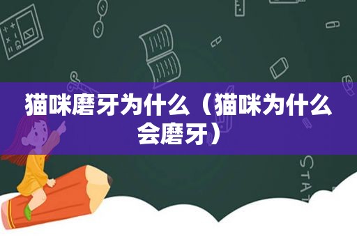 猫咪磨牙为什么（猫咪为什么会磨牙）