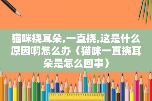 猫咪挠耳朵,一直挠,这是什么原因啊怎么办（猫咪一直挠耳朵是怎么回事）