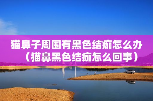 猫鼻子周围有黑色结痂怎么办（猫鼻黑色结痂怎么回事）