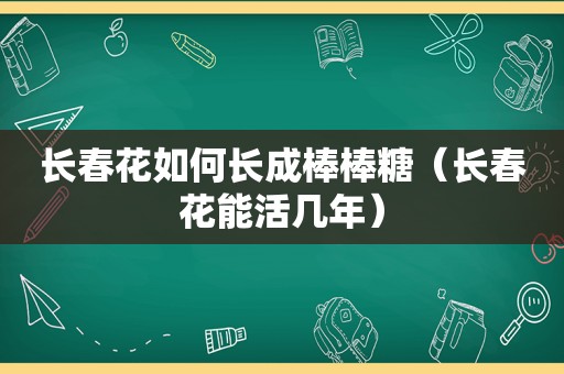 长春花如何长成棒棒糖（长春花能活几年）