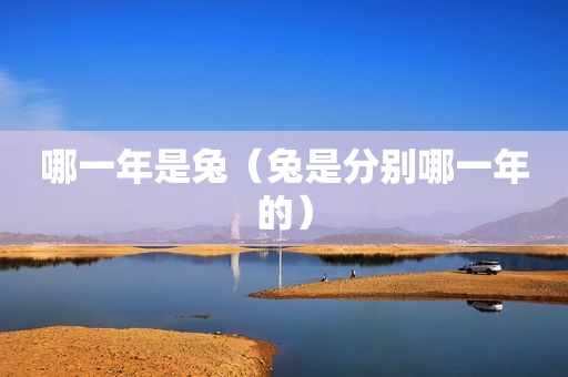 哪一年是兔（兔是分别哪一年的）