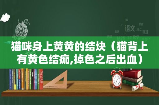 猫咪身上黄黄的结块（猫背上有黄色结痂,掉色之后出血）