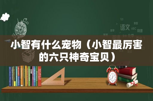 小智有什么宠物（小智最厉害的六只神奇宝贝）