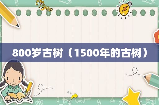800岁古树（1500年的古树）