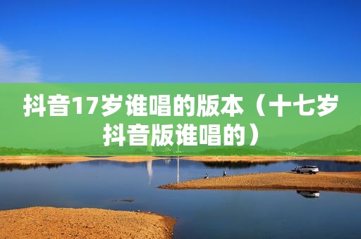 抖音17岁谁唱的版本（十七岁抖音版谁唱的）