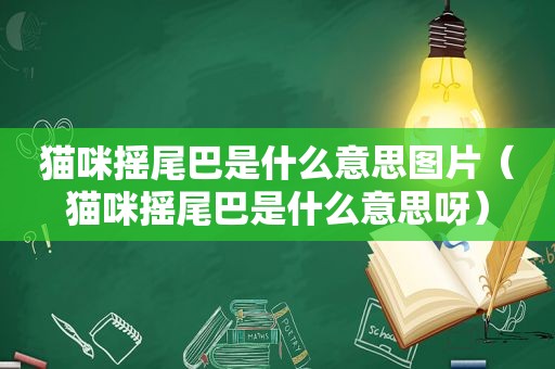 猫咪摇尾巴是什么意思图片（猫咪摇尾巴是什么意思呀）