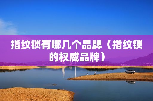 指纹锁有哪几个品牌（指纹锁的权威品牌）