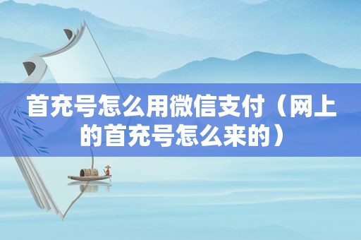 首充号怎么用微信支付（网上的首充号怎么来的）
