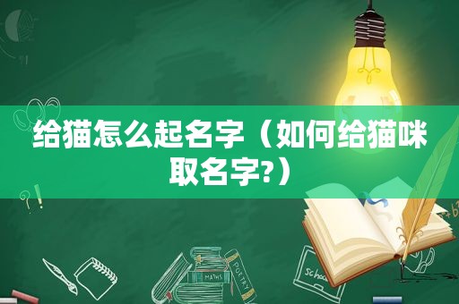 给猫怎么起名字（如何给猫咪取名字?）