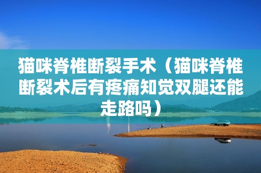 猫咪脊椎断裂手术（猫咪脊椎断裂术后有疼痛知觉双腿还能走路吗）