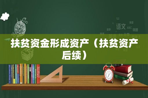 扶贫资金形成资产（扶贫资产后续）