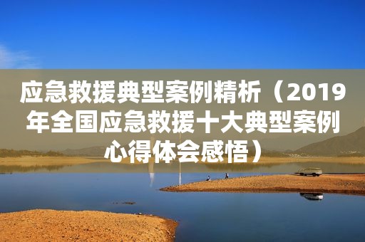 应急救援典型案例精析（2019年全国应急救援十大典型案例心得体会感悟）