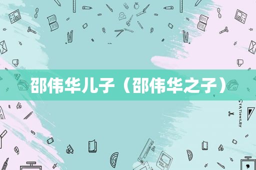 邵伟华儿子（邵伟华之子）