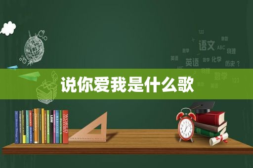 说你爱我是什么歌