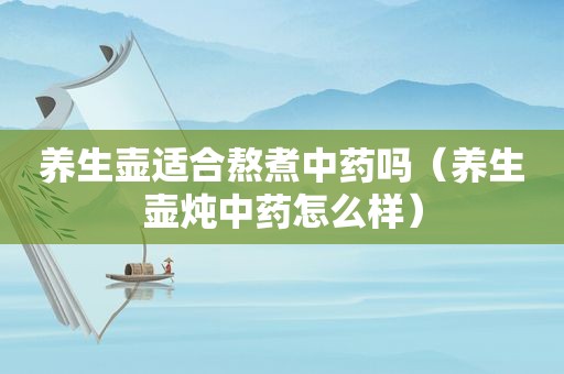养生壶适合熬煮中药吗（养生壶炖中药怎么样）
