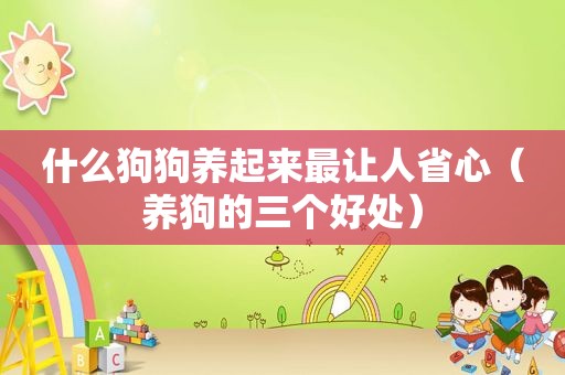 什么狗狗养起来最让人省心（养狗的三个好处）