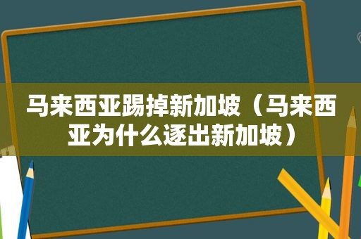 马来西亚踢掉新加坡（马来西亚为什么逐出新加坡）