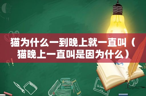 猫为什么一到晚上就一直叫（猫晚上一直叫是因为什么）