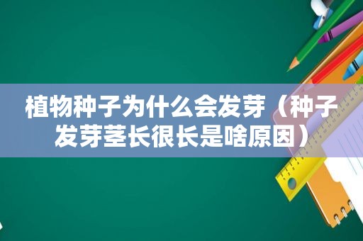 植物种子为什么会发芽（种子发芽茎长很长是啥原因）