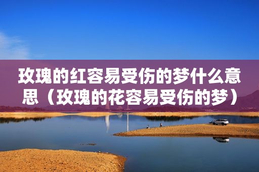 玫瑰的红容易受伤的梦什么意思（玫瑰的花容易受伤的梦）