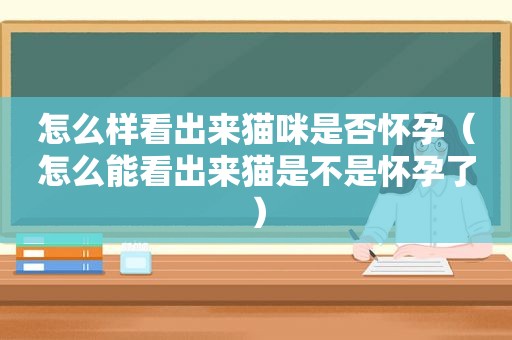 怎么样看出来猫咪是否怀孕（怎么能看出来猫是不是怀孕了）