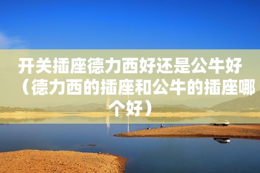 开关插座德力西好还是公牛好（德力西的插座和公牛的插座哪个好）