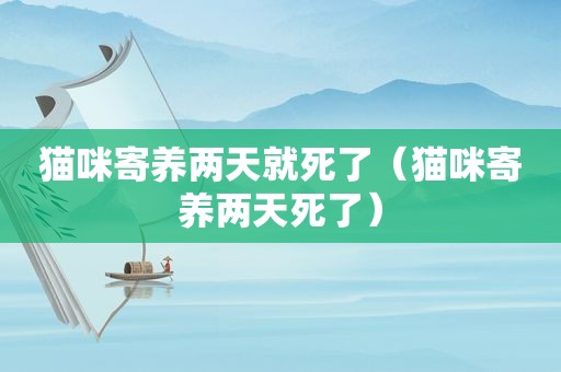 猫咪寄养两天就死了（猫咪寄养两天死了）