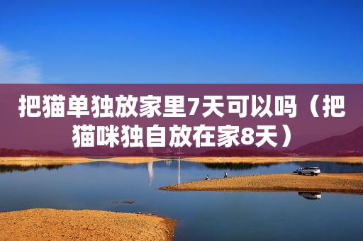 把猫单独放家里7天可以吗（把猫咪独自放在家8天）