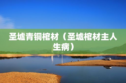 圣墟青铜棺材（圣墟棺材主人生病）