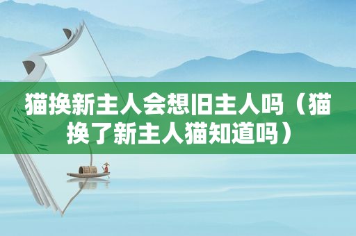 猫换新主人会想旧主人吗（猫换了新主人猫知道吗）