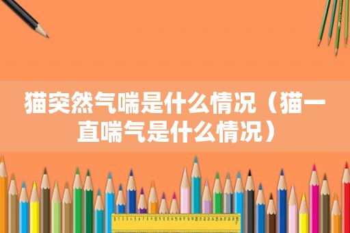 猫突然气喘是什么情况（猫一直喘气是什么情况）