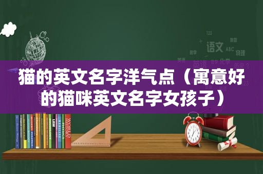 猫的英文名字洋气点（寓意好的猫咪英文名字女孩子）