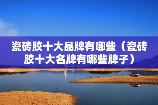 瓷砖胶十大品牌有哪些（瓷砖胶十大名牌有哪些牌子）