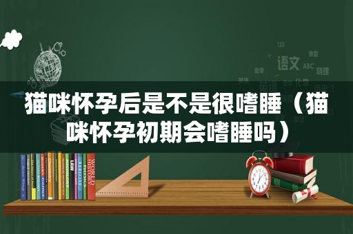 猫咪怀孕后是不是很嗜睡（猫咪怀孕初期会嗜睡吗）