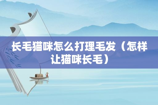 长毛猫咪怎么打理毛发（怎样让猫咪长毛）