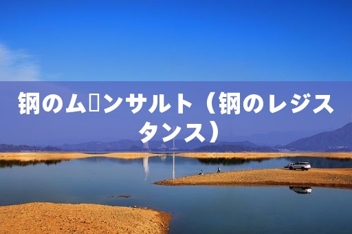 钢のムーンサルト（钢のレジスタンス）
