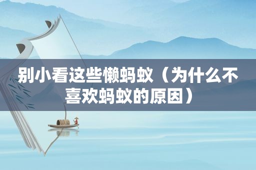 别小看这些懒蚂蚁（为什么不喜欢蚂蚁的原因）