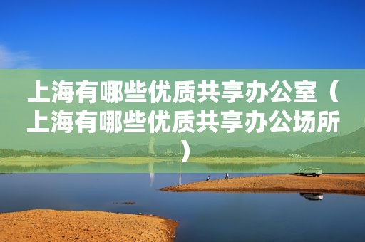 上海有哪些优质共享办公室（上海有哪些优质共享办公场所）