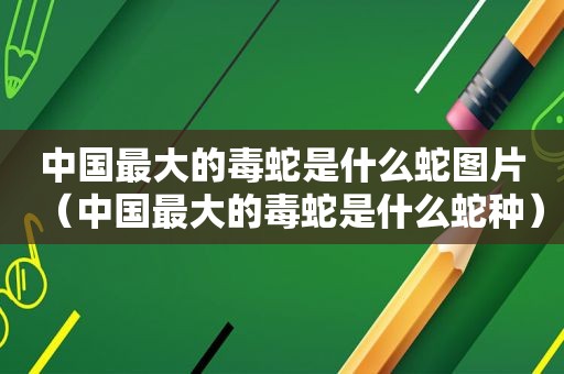 中国最大的毒蛇是什么蛇图片（中国最大的毒蛇是什么蛇种）