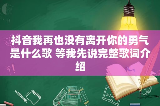 抖音我再也没有离开你的勇气是什么歌 等我先说完整歌词介绍